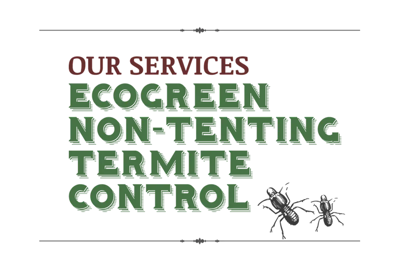 termite-control