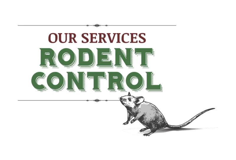 rodent control