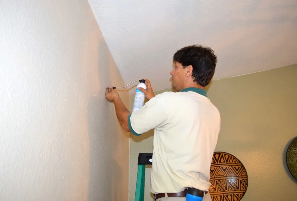 Termite Control-home