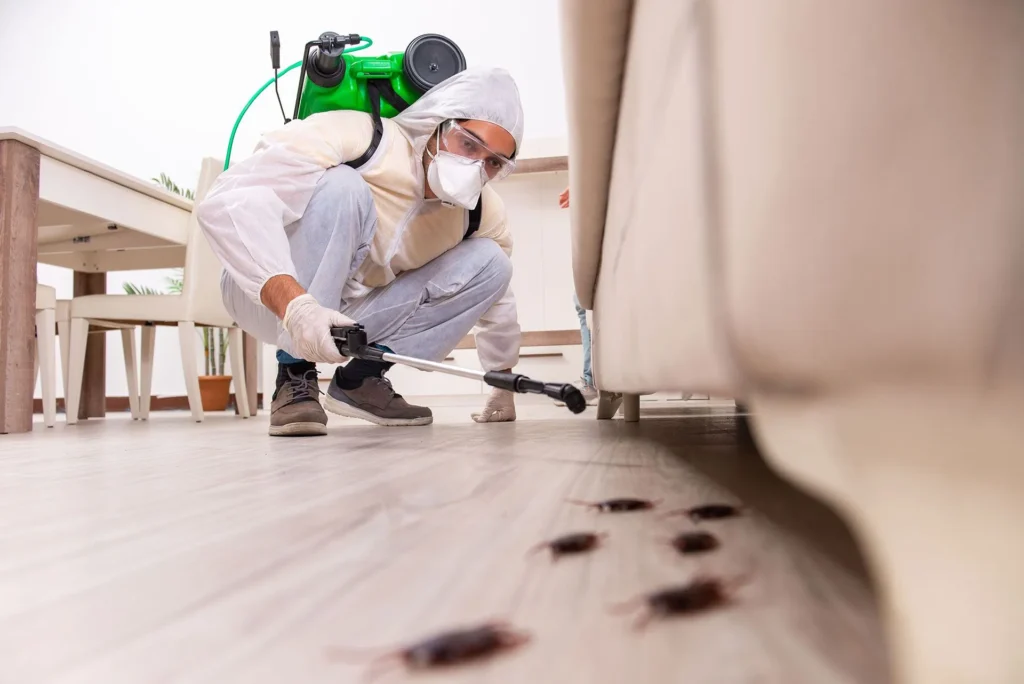 Pest Control