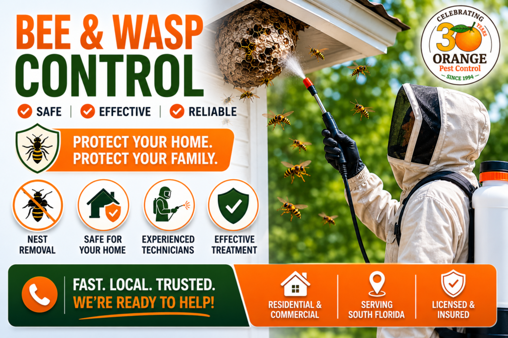 Bee and Wasp Control