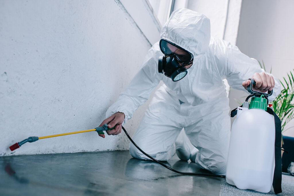 Trusted Pest Control Solutions for Ants, Rodents & Termites in Fort Lauderdale