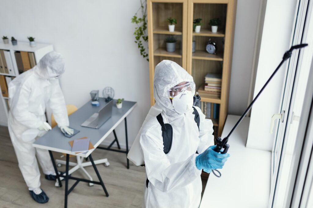 Pest Control in Davie