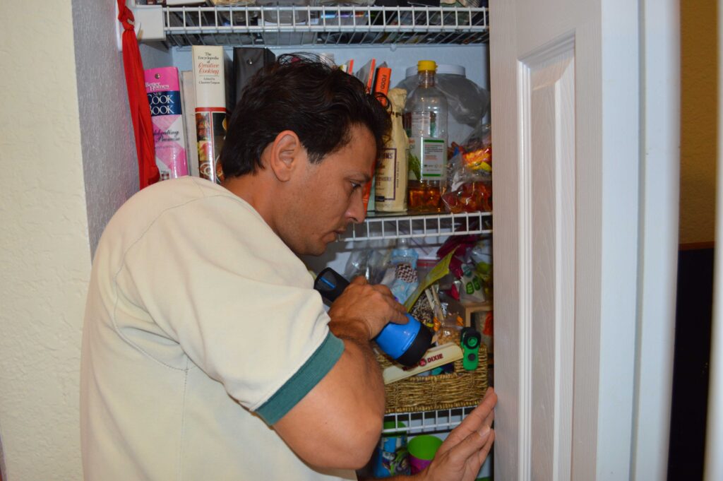 Weston Homeowners Deserve Better Than DIY Bug Spray – Here’s Why Orange Pest Control Is the Local Favorite